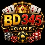 BD345 Game