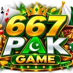667PAK Game